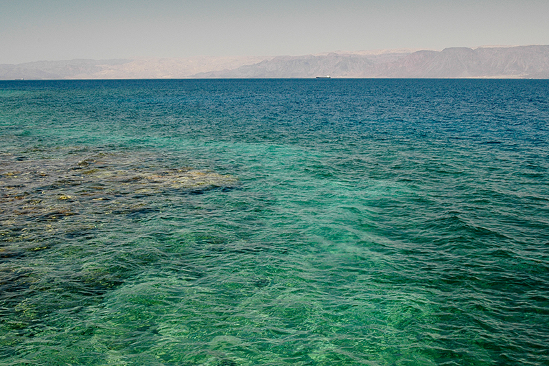 I Due Mari (Individuale)