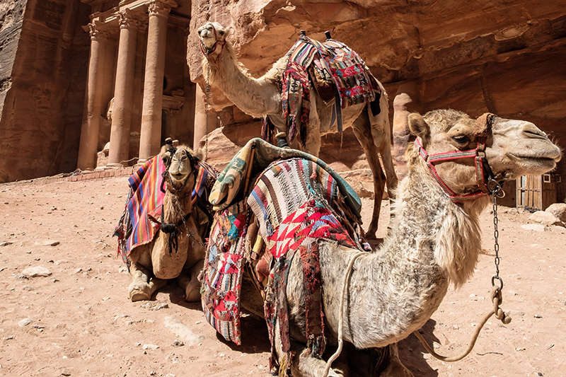 Touch & Go (Individuale)